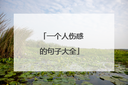 一个人伤感的句子大全