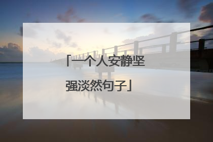 一个人安静坚强淡然句子