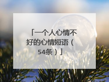 一个人心情不好的心情短语（54条）