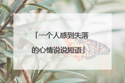 一个人感到失落的心情说说短语