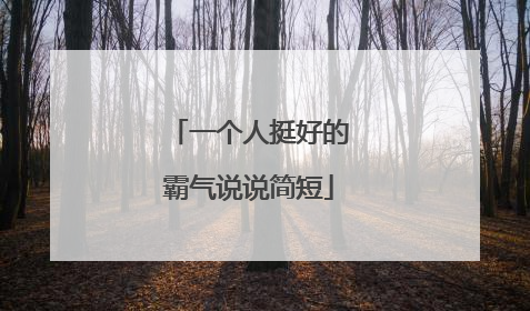一个人挺好的霸气说说简短