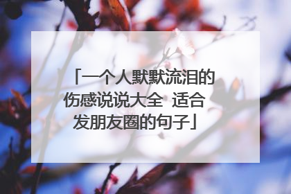 一个人默默流泪的伤感说说大全 适合发朋友圈的句子
