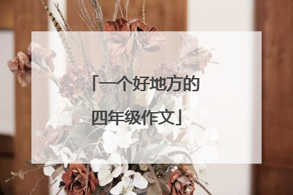 一个好地方的四年级作文
