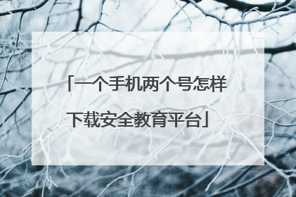一个手机两个号怎样下载安全教育平台