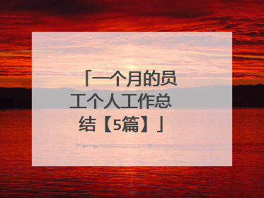 一个月的员工个人工作总结【5篇】