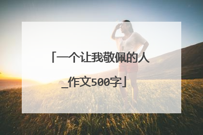 一个让我敬佩的人_作文500字