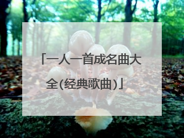 一人一首成名曲大全(经典歌曲)