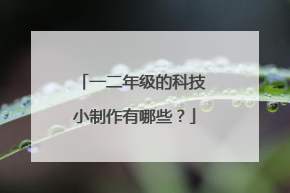 一二年级的科技小制作有哪些?