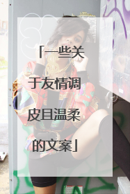 一些关于友情调皮且温柔的文案
