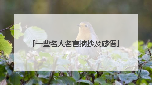 一些名人名言摘抄及感悟