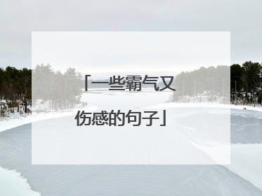 一些霸气又伤感的句子