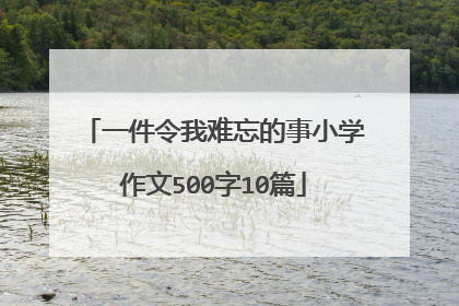 一件令我难忘的事小学作文500字10篇