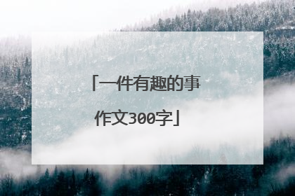 一件有趣的事作文300字