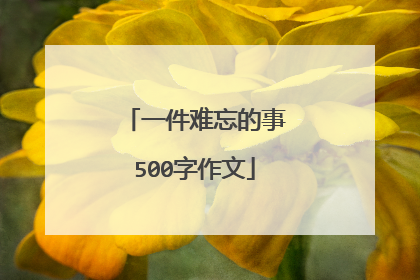 一件难忘的事500字作文