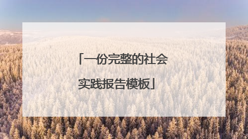 一份完整的社会实践报告模板