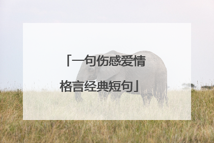 一句伤感爱情格言经典短句