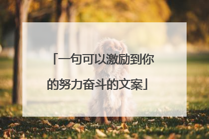 一句可以激励到你的努力奋斗的文案