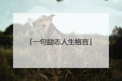 一句励志人生格言