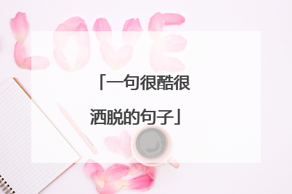 一句很酷很洒脱的句子
