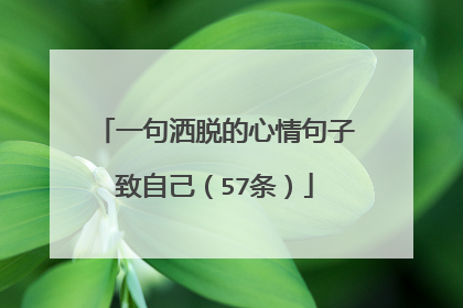 一句洒脱的心情句子致自己（57条）