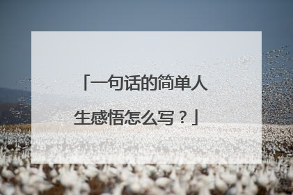 一句话的简单人生感悟怎么写？