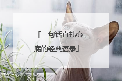 一句话直扎心底的经典语录
