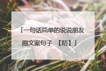 一句话简单的说说朋友圈文案句子 【精】