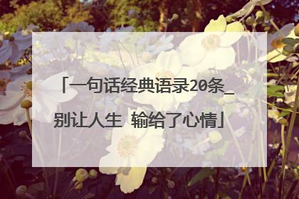 一句话经典语录20条_别让人生 输给了心情