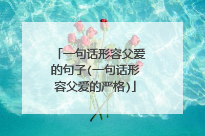 一句话形容父爱的句子(一句话形容父爱的严格)