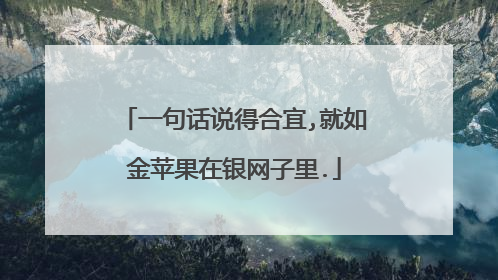 一句话说得合宜,就如金苹果在银网子里.