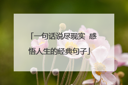 一句話道盡人生現實(一句話道盡人生禪意)_好詞和好句