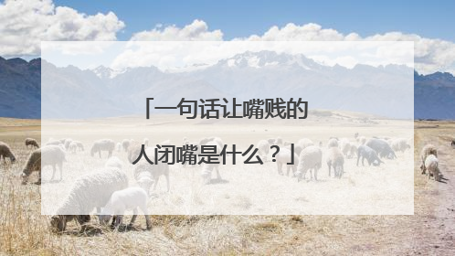 一句话让嘴贱的人闭嘴是什么？