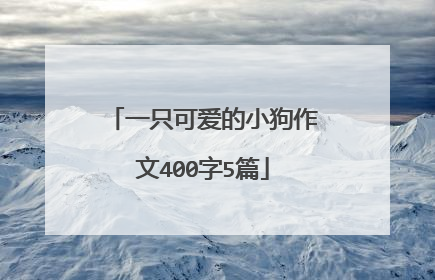 一只可爱的小狗作文400字5篇