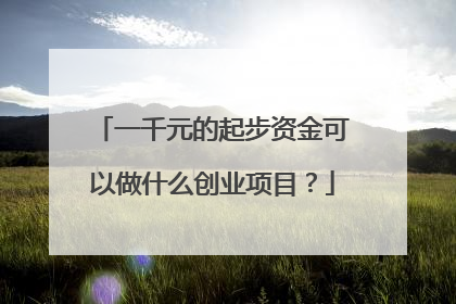 一千元的起步资金可以做什么创业项目？