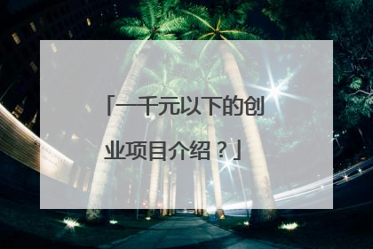 一千元以下的创业项目介绍？