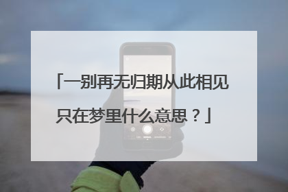 一别再无归期从此相见只在梦里什么意思？