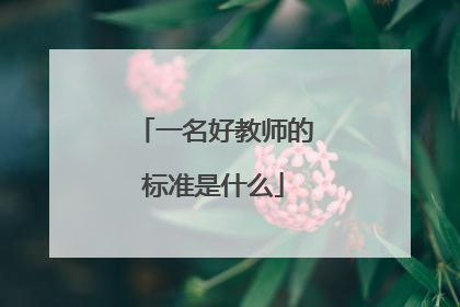 一名好教师的标准是什么