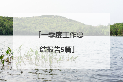 一季度工作总结报告5篇