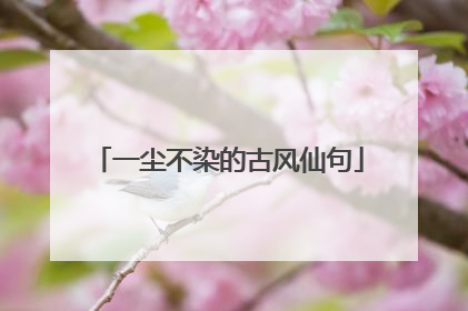 一尘不染的古风仙句