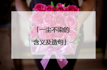 一尘不染的含义及造句