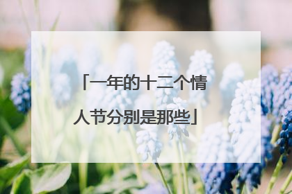 一年的十二个情人节分别是那些