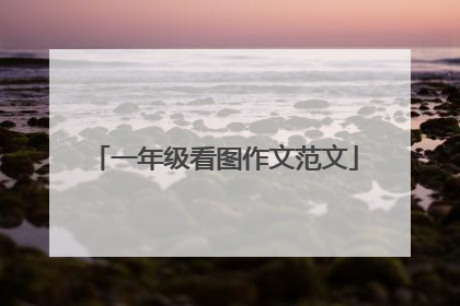 一年级看图作文范文