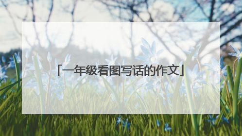一年级看图写话的作文