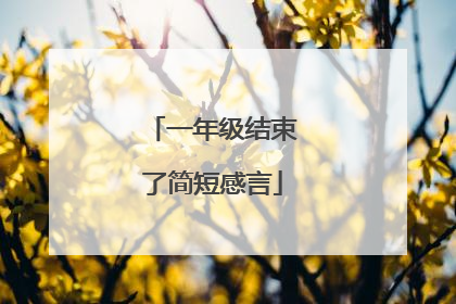 一年级结束了简短感言