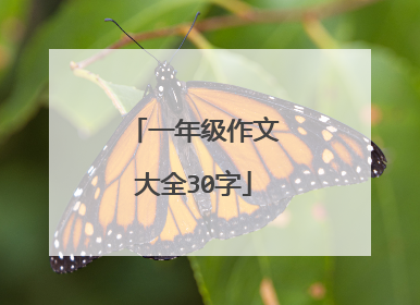 一年级作文大全30字