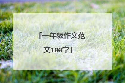 一年级作文范文100字