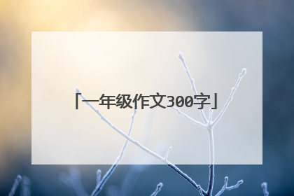 一年级作文300字