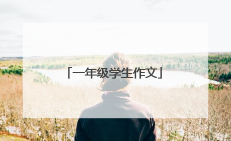 一年级学生作文