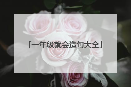 一年级就会造句大全