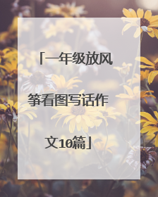 一年级放风筝看图写话作文10篇